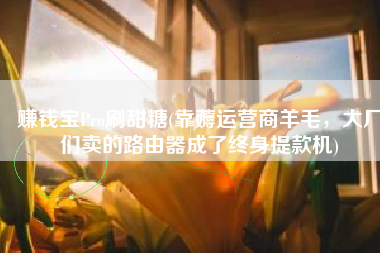 赚钱宝Pro刷甜糖(靠薅运营商羊毛，大厂们卖的路由器成了终身提款机)