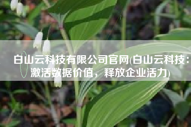 白山云科技有限公司官网(白山云科技：激活数据价值，释放企业活力)