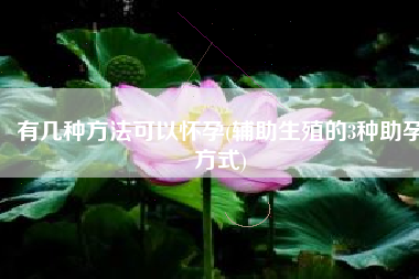有几种方法可以怀孕(辅助生殖的3种助孕方式)