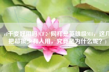 cf千变好用吗(CF：同样是英雄级M4，这几把却很少有人用，究竟是为什么呢？)