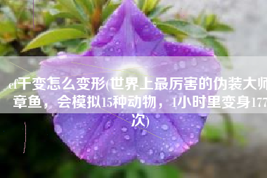 cf千变怎么变形(世界上最厉害的伪装大师章鱼，会模拟15种动物，1小时里变身177次)