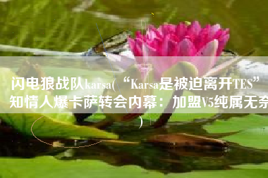 闪电狼战队karsa(“Karsa是被迫离开TES”！知情人爆卡萨转会内幕：加盟V5纯属无奈)