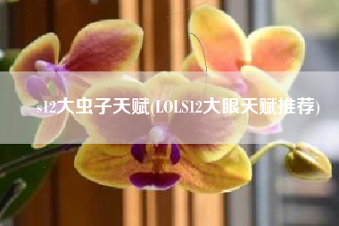 s12大虫子天赋(LOLS12大眼天赋推荐)