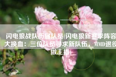 闪电狼战队历届队员(闪电狼新赛季阵容大换血：三位队员寻求新队伍，MMD退役做主播)