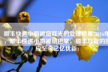 顺丰快递小哥被扇耳光的处理结果(2016年，顺丰快递小哥被扇巴掌，顺丰总裁的回应至今记忆犹新)