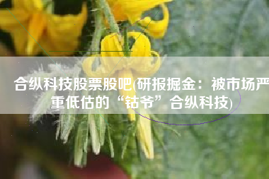 合纵科技股票股吧(研报掘金：被市场严重低估的“钴爷”合纵科技)