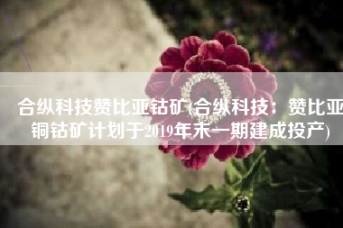 合纵科技赞比亚钴矿(合纵科技：赞比亚铜钴矿计划于2019年末一期建成投产)