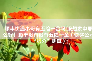 顺丰快递小哥有五险一金吗(没想象中那么好！顺丰没有没有五险一金（快递公司“水分”测算）)