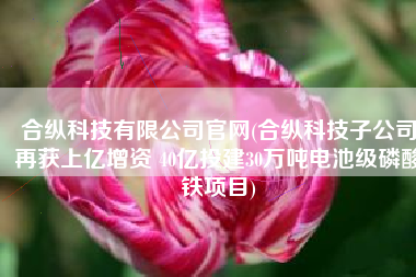 合纵科技有限公司官网(合纵科技子公司再获上亿增资 40亿投建30万吨电池级磷酸铁项目)