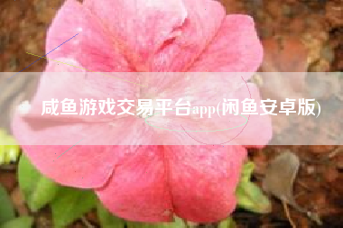 咸鱼游戏交易平台app(闲鱼安卓版)