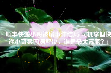 顺丰快递小哥被扇事件结局(司机掌掴快递小哥案圆满解决，谁是最大赢家？)