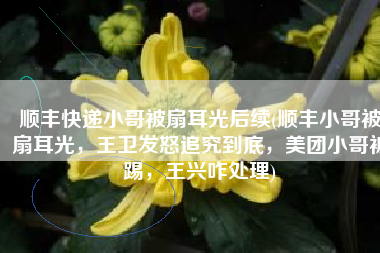 顺丰快递小哥被扇耳光后续(顺丰小哥被扇耳光，王卫发怒追究到底，美团小哥被踢，王兴咋处理)