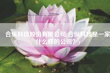 合纵科技股份有限公司(合纵科技是一家什么样的公司？)