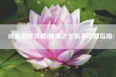咸鱼游戏攻略(咸鱼之王新手攻略指南)