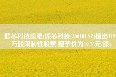 振芯科技股吧(振芯科技(300101.SZ)授出1120万股限制性股票 授予价为19.76元/股)