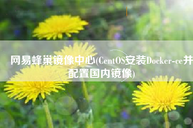 网易蜂巢镜像中心(CentOS安装Docker-ce并配置国内镜像)