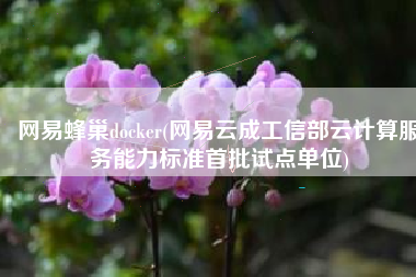 网易蜂巢docker(网易云成工信部云计算服务能力标准首批试点单位)