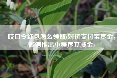 吱口令红包怎么领取(对抗支付宝赏金，微信推出小程序立减金)