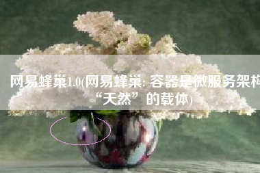 网易蜂巢1.0(网易蜂巢: 容器是微服务架构“天然”的载体)
