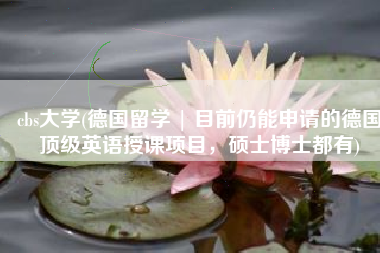 cbs大学(德国留学 | 目前仍能申请的德国顶级英语授课项目，硕士博士都有)