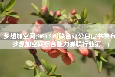 梦想加空间(2020-2021联合办公白皮书发布 梦想加空间综合能力蝉联行业第一)