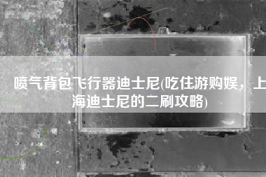 喷气背包飞行器迪士尼(吃住游购娱，上海迪士尼的二刷攻略)