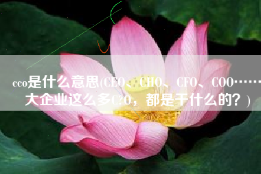 cco是什么意思(CEO、CHO、CFO、COO……大企业这么多C?O，都是干什么的？)