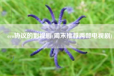 cco协议的影视剧(周末推荐两部电视剧)