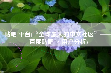 贴吧 平台(“全球最大的中文社区”——百度贴吧 ·用户分析)