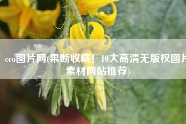 cco图片网(果断收藏！10大高清无版权图片素材网站推荐)