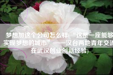 梦想加这个公司怎么样(“这是一座能够实现梦想的城市”——汉台两地青年交流在武汉创业创新经验)