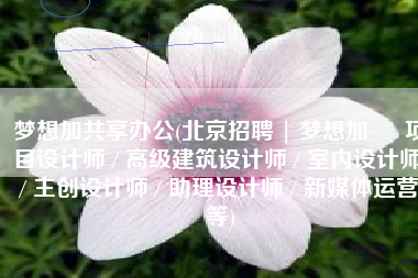 梦想加共享办公(北京招聘 | 梦想加 – 项目设计师 / 高级建筑设计师 / 室内设计师 / 主创设计师 / 助理设计师 / 新媒体运营等)