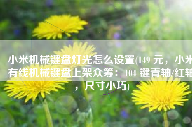 小米机械键盘灯光怎么设置(149 元，小米有线机械键盘上架众筹：104 键青轴/红轴，尺寸小巧)