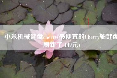 小米机械键盘cherry(最便宜的Cherry轴键盘刷新了 149元)