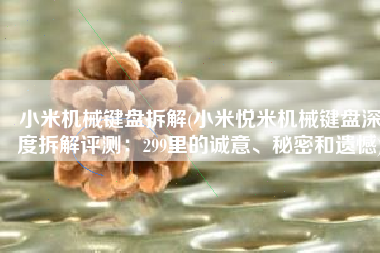 小米机械键盘拆解(小米悦米机械键盘深度拆解评测：299里的诚意、秘密和遗憾)