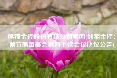 熊猫金控股份有限公司官网(熊猫金控：第五届董事会第四十次会议决议公告)