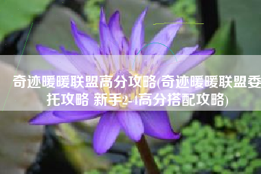 奇迹暖暖联盟高分攻略(奇迹暖暖联盟委托攻略 新手2-4高分搭配攻略)