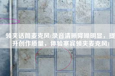 领夹话筒麦克风(录音清晰降噪明显，提升创作质量，体验塞宾领夹麦克风)