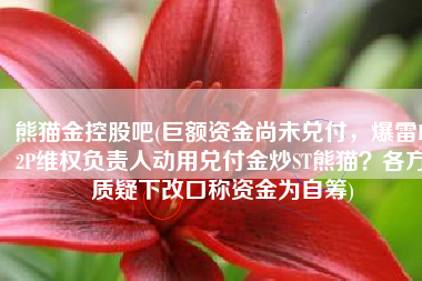 熊猫金控股吧(巨额资金尚未兑付，爆雷P2P维权负责人动用兑付金炒ST熊猫？各方质疑下改口称资金为自筹)
