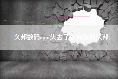 久邦数码app(失去了张向东的久邦)