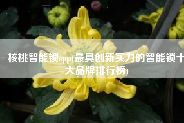 核桃智能锁app(最具创新实力的智能锁十大品牌排行榜)