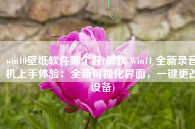 win10壁纸软件哪个好(微软 Win11 全新录音机上手体验：全新可视化界面，一键更改设备)