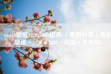 win10壁纸1920x1080超清(「美图分享」电脑壁纸·1920×1080·高清·无水印)