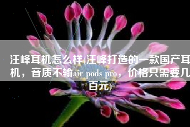 汪峰耳机怎么样(汪峰打造的一款国产耳机，音质不输air pods pro，价格只需要几百元)