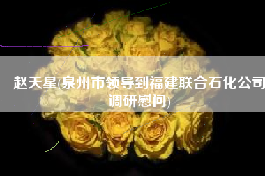 赵天星(泉州市领导到福建联合石化公司调研慰问)