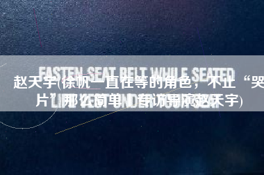 赵天宇(徐帆一直在等的角色，不止“哭片”那么简单丨专访导演赵天宇)