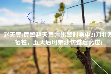 赵天昱(民警赵天昱：出警时身中21刀壮烈牺牲，五天后母亲悲伤过度离世)