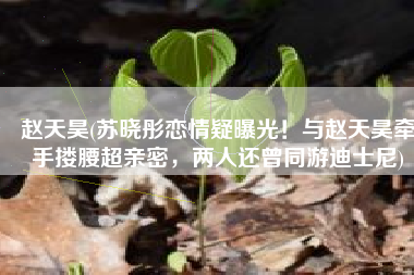 赵天昊(苏晓彤恋情疑曝光！与赵天昊牵手搂腰超亲密，两人还曾同游迪士尼)