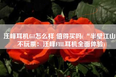 汪峰耳机fiil怎么样 值得买吗(“半壁江山”不玩票：汪峰FIIL耳机全面体验)