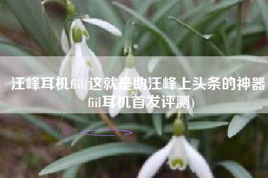 汪峰耳机fiil(这就是助汪峰上头条的神器，fiil耳机首发评测)